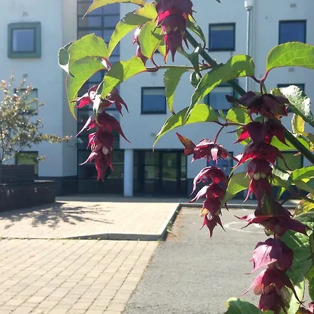 Lägenhet Brookfield Hall Off Campus Accommodation